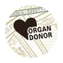 A close-up of the "organ donor" badge on a fictitious Virginia Driver's License