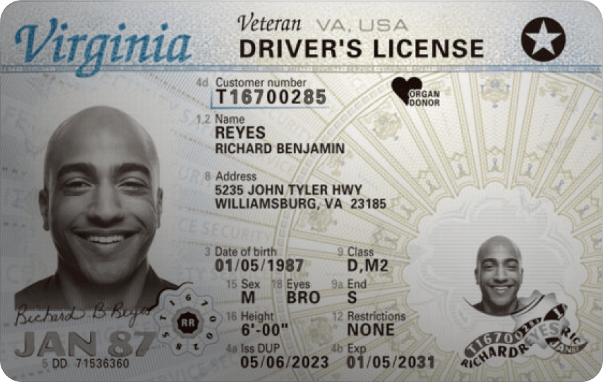 Fictitious Virginia Driver's License